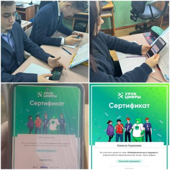 В школе прошел "Урок цифры"