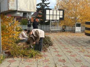 Благоустройство территории школы
