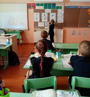 Стартовала акция "Покормите птиц зимой!"