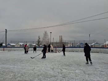 Забавы на льду