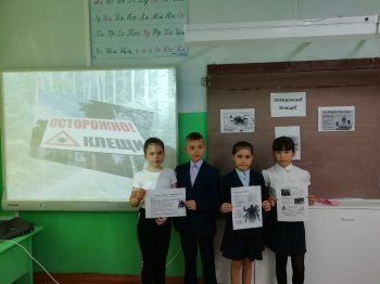 Профилактический классный час"Осторожно:клещи!"