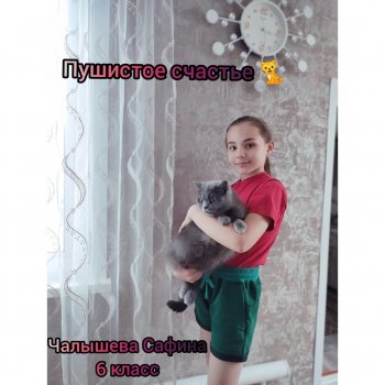 Селфитайм "Мои домашние питомцы"